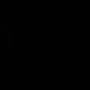 Meet your Posher, Will